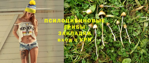 стафф Армянск