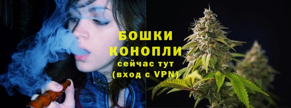 соль ск Балахна