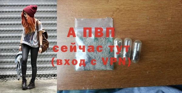спиды Арсеньев