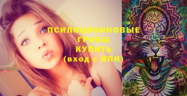 стафф Армянск