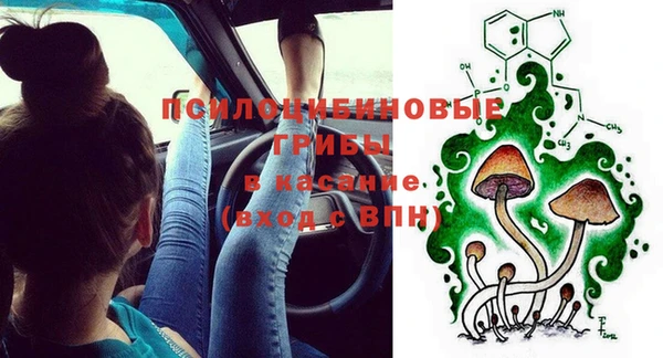 стафф Армянск