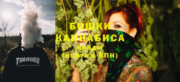 спиды Арсеньев