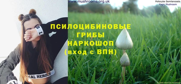 соль ск Балахна