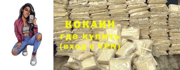 шишки Баксан