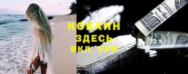 спиды Арсеньев