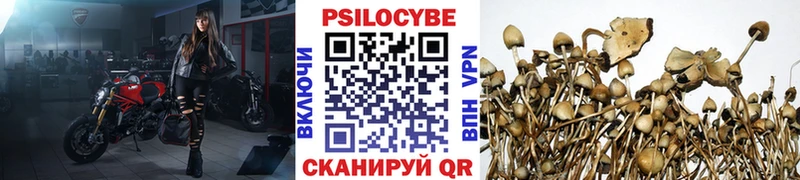 Псилоцибиновые грибы MAGIC MUSHROOMS  KRAKEN как войти  Людиново 